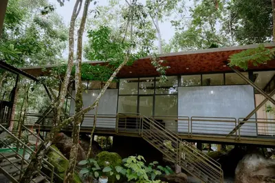 a house in the trees with a bridge at RockS VillA in Meppādi
