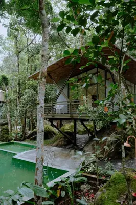 a wooden bridge over a pond in a forest at RockS VillA in Meppādi