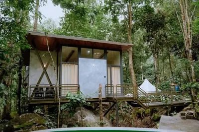a house in the middle of a forest at RockS VillA in Meppādi