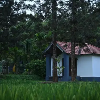 Phalam Homestay