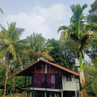 a house with palm trees in front of it at Golden Valley Abode in Siddapur