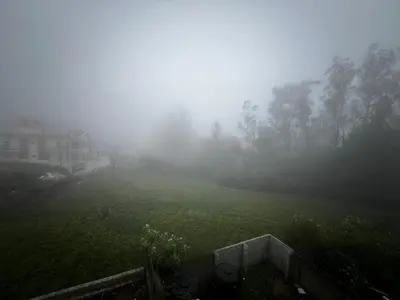 Gallery image of Hideout cozy in Ooty