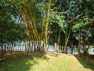 a group of trees on a beach with a fence at The Cove, ' the silent Symphony ' in Parassinikadavu