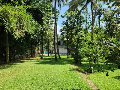 a yard with trees and a house in the background at The Cove, ' the silent Symphony ' in Parassinikadavu