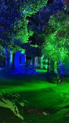a tree with green lights in a yard at night at Royal Rivera Holiday Home in Kalpetta