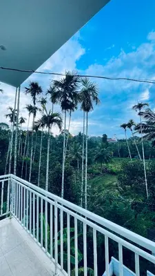 a view of palm trees from a balcony at The Karlyle Homestay in Sultan Bathery