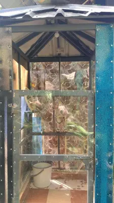 a bird cage with a bunch of plants in it at Hornbill Paradise, Munnar in Viripara