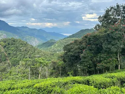 a view of auliculiculiculiculiculiculiculiculiculiculiculic at Ellem House in Kotagiri