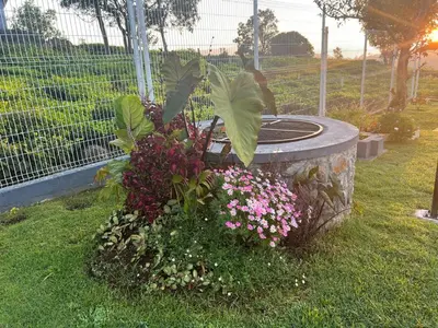 a bird bath with flowers in a yard at Jacaranda Home Stay in Kotagiri