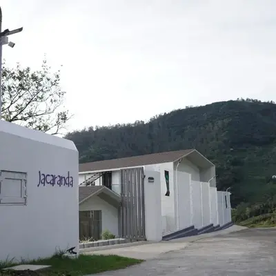 Jacaranda Home Stay