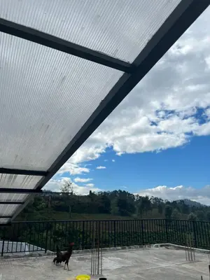 a dog is walking under a glass roof at Village Villa in Vālpārai