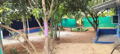 a group of trees in a yard with a building at Lavi's Homestay in Hārohalli