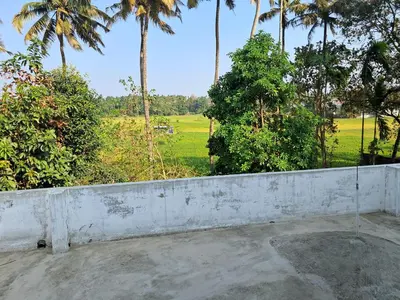 a wall with a view of a field and palm trees at Vilasini Nivas in Irinjālakuda