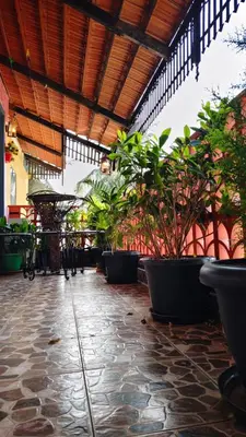 a patio with a bunch of plants in pots at Steeva service apartment in Mysore