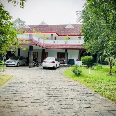 Lush Orchard