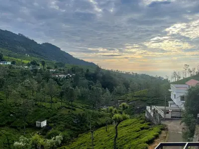 a view of a green hillside with a house and trees at Sunflower Villa Cottage Coonoor in Coonoor