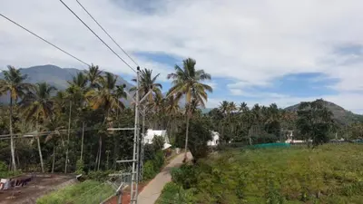 a view of a hill with palm trees and a road at Caramel stay in Marayoor