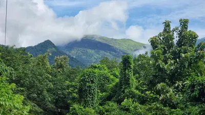 auliculiculiculiculiculiculiculiculiculiculiculiculiculiculic at Happy Home Stay in Palakkad