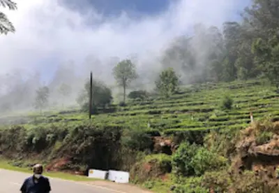 a man walking down a road next to a field at Palazzo Villa in Ooty
