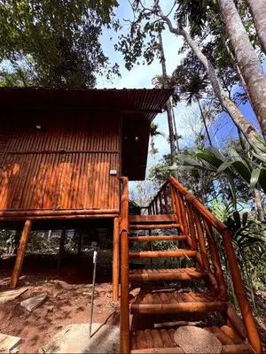 a wooden staircase leading to a small building at carpa lupa 1 waterfront bamboo cottage wayanad in Meenangadi