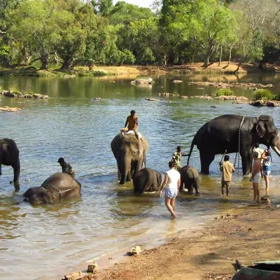 a group of people riding elephants in the water at Bean & Breeze in Suntikoppa