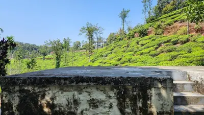 a road on top of a hill with a mountain at The Bear's Lair 2BHK Chembra Peak View in Vythiri