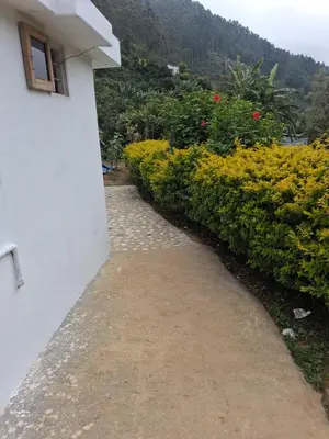 a path next to a white building with bushes at Kalpanahomestay in Vattavada