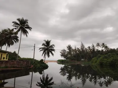 a body of water with palm trees and a house at Pratheeksha Homestay in Kannur