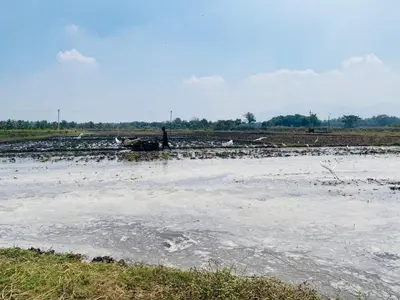 a person standing in the middle of a body of water at Thulir Farm Stay Near Isha Yoga Adiyogi in Coimbatore