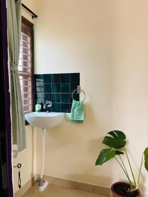 a bathroom with a sink and a potted plant at Aasare Attic 2 in Mysore