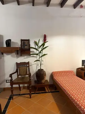 a room with a chair and a potted plant at Homestay in Alappura 3 Cottage Farmstay by Homeyhuts in Tattamangalam