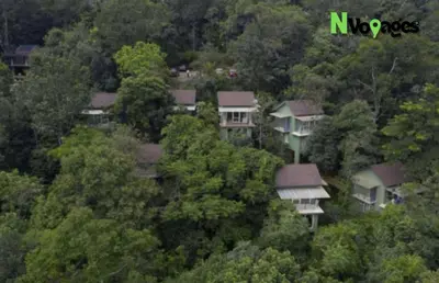 an aerial view of a house in the trees at Nvoyages Wayanad in Wayanad