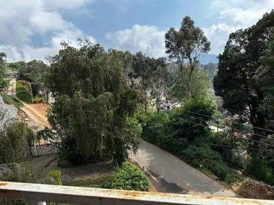 a tree on the side of a road at Grays club guest House in Coonoor