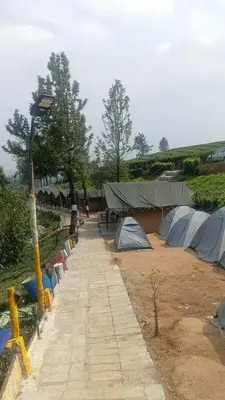a group of tents in a field with trees at Janardan Campsite Ooty in Ooty