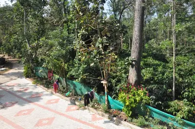 a group of people working in a garden at Greeneysthomestay in Kushālnagar