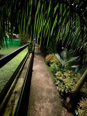 a park with a bench and palm trees and plants at Maple grove villa resort in Panamaram