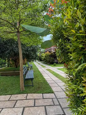 two park benches sitting next to a tree at Maple grove villa resort in Panamaram