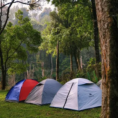 three tents sitting in the grass in a forest at Green mountain resort in Meppādi