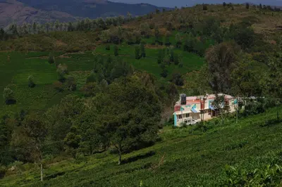a house on a hill in a green field at The Misty Woods in Kotagiri