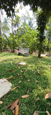 a park bench sitting in the grass with leaves at Bougainvilla Luxury Individual Villa Kozhikode in Kunnamangalam