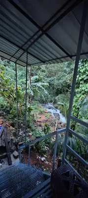 a room with a view of a river in a forest at Hayden in Kakkadampoyil