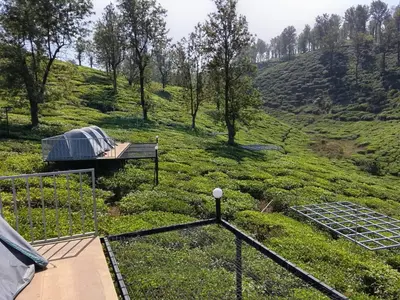 a garden with a solarium and a bench on a hill at Boche LuxCamp 1000 Acre in Wayanad