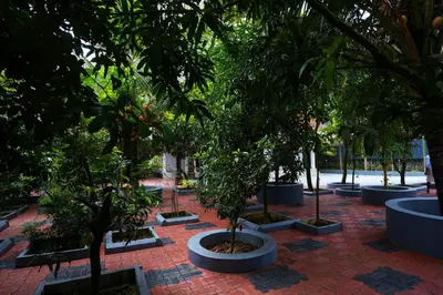 a row of trees sitting on a brick sidewalk at Guruvayur Nature Homestay in Kunnamkulam
