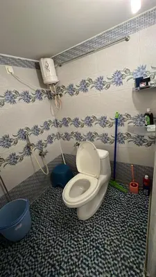 a bathroom with a toilet with blue flowers on the wall at Amaravathi home stay