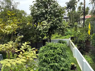 a garden with a bunch of plants and a tree at Ravi's homestay in Cochin