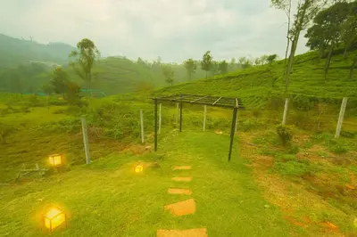 a field with lights on the side of a hill at The Leafy Nook Container Stay- 360 degree Tea Plantation near Ooty in Coonoor