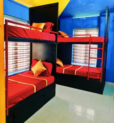 two bunk beds in a room with red and blue walls at Avenue Dorms in Kalpetta