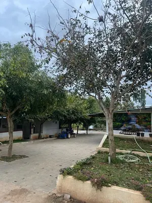 a parking lot with two trees and a building at Rivora Retreat in Nanjangūd