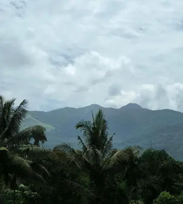 a view of mountains and palm trees in the foreground at Wayanad home stay in Vythiri