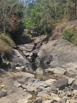 a stream of water with rocks and trees in the background at Falcon by wayanora in Padinjarathara